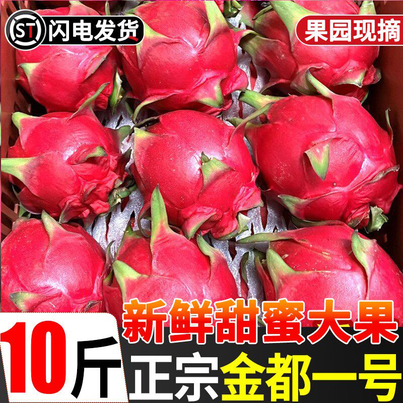 广西红心火龙果金都一号10斤新鲜蜜海整箱京宝南红肉当季水果批发