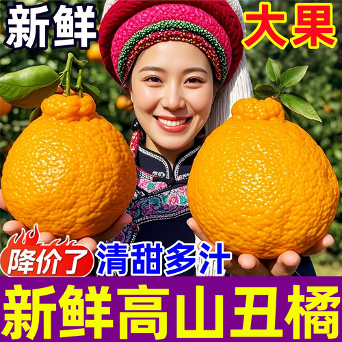 正宗新鲜丑橘清甜爽口多汁