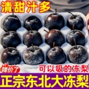冻梨正宗东北特产梨子花盖梨冻秋梨大黑梨苹果梨新鲜水果当季 包邮