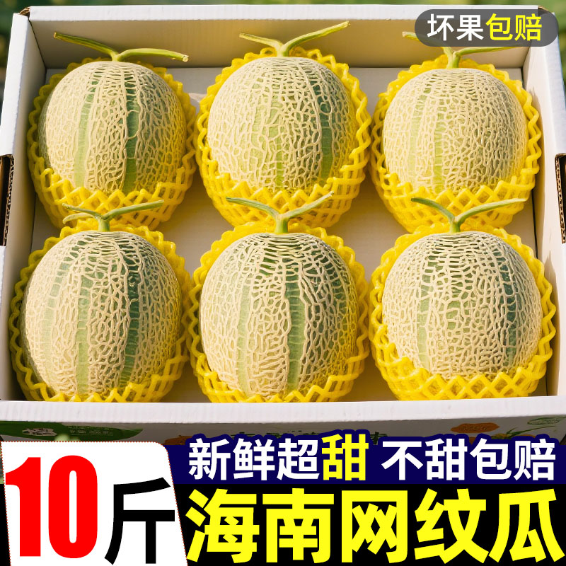 正宗海南玫珑哈密瓜现摘香甜