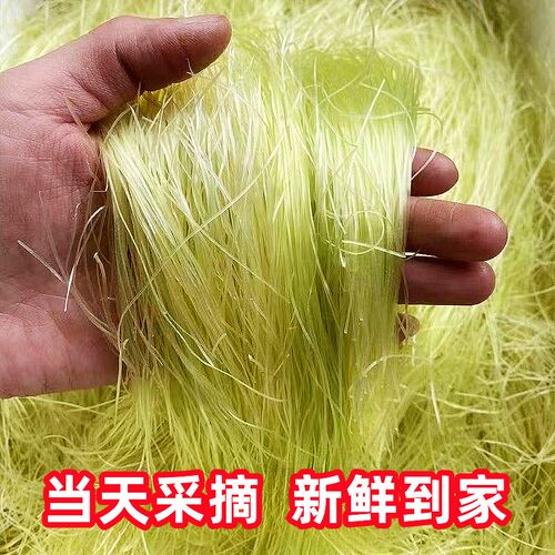 新鲜玉米须3斤【官方推荐】