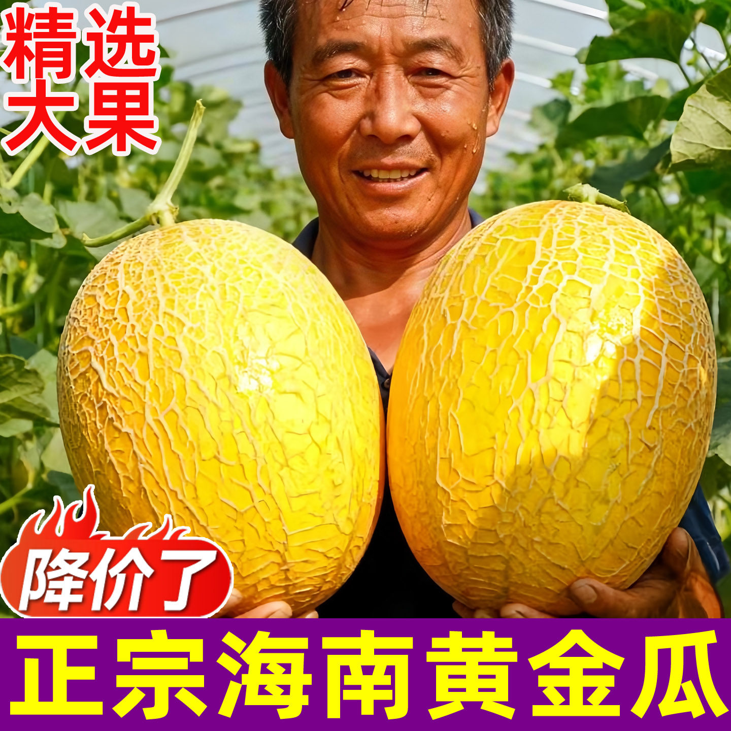 海南黄金蜜瓜哈密瓜当季新鲜水果现摘现发冰糖甜瓜网纹9斤香瓜