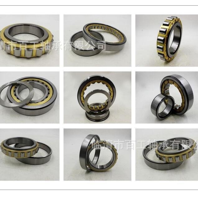 BGBG满滚子轴承SL04NNF5012501345PPADA-2LS圆柱滚子轴承