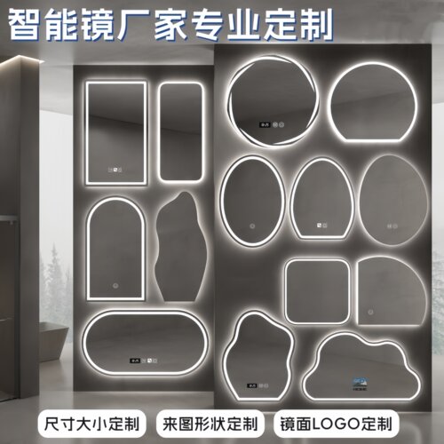 2026新款智能浴室大镜子定制卫生间镜子高级感艺术椭圆异形化妆镜