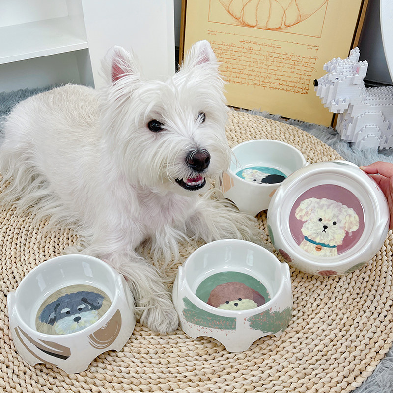 狗盆狗碗防滑防打翻狗狗水碗饭盆食盆猫碗宠物用品碗猫咪饭碗粮碗,宠物/宠物食品及用品,猫狗碗/慢食碗,淘宝优惠券,粉丝福利购,淘宝优惠卷