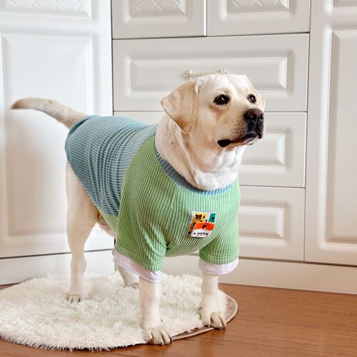 狗狗衣服大型犬春秋薄款衣服拉不拉多金毛薄款针织衣服网红狗衣服