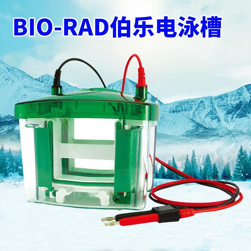 美国电泳槽BIORAD小型垂直电泳转印槽Mini-PROTEAN电泳蛋白槽