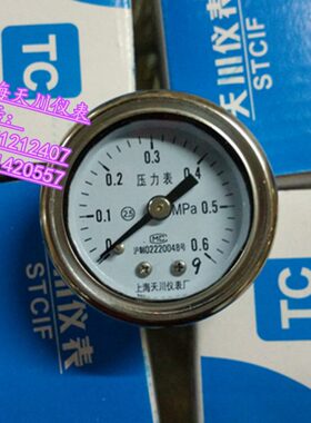 上海天川仪表 轴向全不锈钢压力表 Y40BFZ 304材质 耐高温 防腐