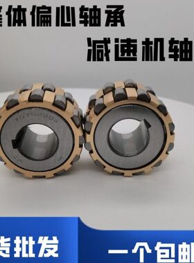减速机整体偏心轴承80752904 70752904 50752904 100752904 K进口