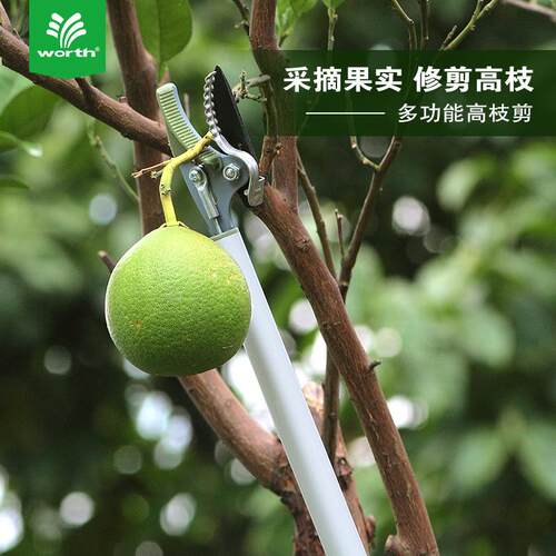 沃施worth 高枝采果剪摘果器高枝剪高空采果剪琵琶荔枝摘果剪1034