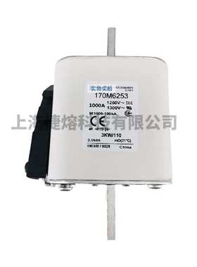 170M6252  170M6253 快速熔断器  保险丝 电子元器件 量大价优