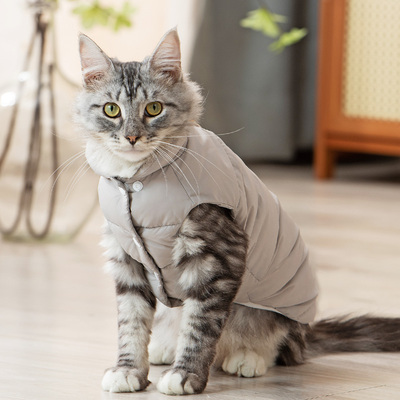 猫咪衣服保暖冬装可爱防掉毛虎斑银渐层羽绒服豹猫加厚棉衣防挣脱
