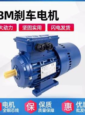 原装意大利BBM电机 BBM刹车电机 进口单相电机 BM80B4/0.75KW