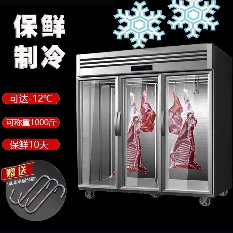 挂肉柜双门立式冷藏展示柜保鲜柜商用冰柜牛羊肉专用保鲜纯铜制冷