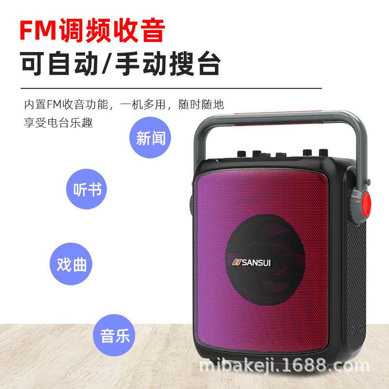 山水D22新款广场舞无线蓝牙音其它