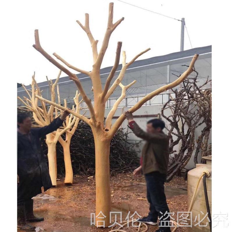 树干枯树杈树枝做枯树假树造型树杈干枝装饰树干枯树干枝