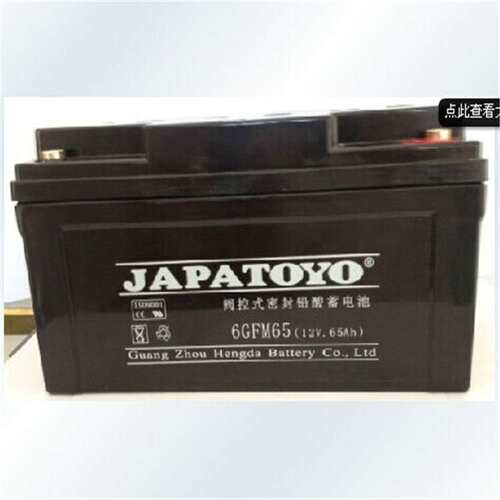 TOYO东洋蓄电池6GFM100 东洋电池12V100AH 质保三年