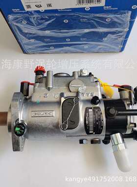 喷油泵2643B319 V3230F580 V3230F586T&V3230F570T-576T 2643B317