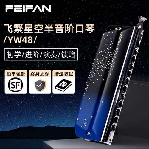 FEIFAN飞繁仰望星空12孔半音阶口琴YW48专业演奏成人初学者口琴