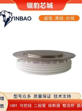 SKT493/14E SKT493/16E SKT493/18E整流二极管晶闸管调频可控硅