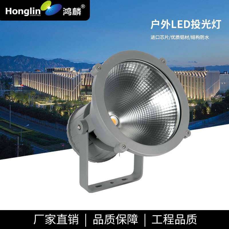 单色50W60WLED投光灯大功率足瓦射灯外墙高楼柱子广场广告招牌灯