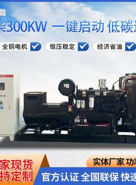 潍柴300KW发电机组柴油发电机组静音款省油耐造动力强劲厂家直发