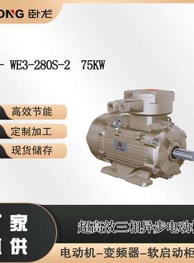 YE3- WE3-280S-2  75KW低速同步电机轧钢机用同步电动机南阳防爆