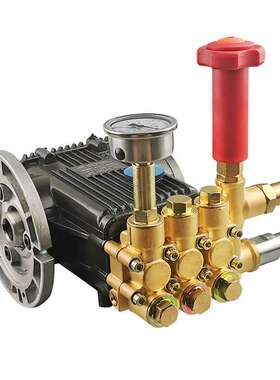 盾构机配件泡沫泵柱塞泵黑猫泵头 BZ-0720ACS原装现货搅拌机真空