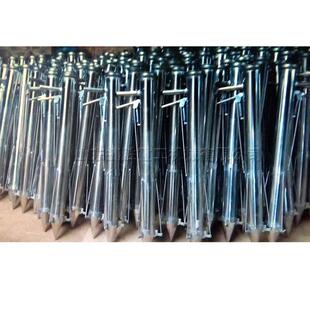 手提式菜苗移栽器 不锈钢辣椒苗栽苗机 农用穴盘蔬菜瓜苗定值器