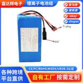 24V10mAh 锂离子电池组 电动自行车助力车平衡车 21700 7S2P
