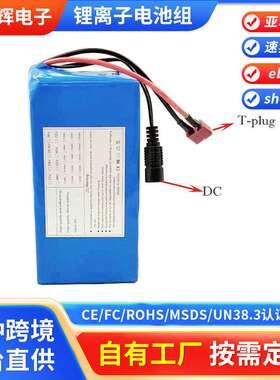 7S2P 21700 锂离子电池组 24V10mAh 电动自行车助力车平衡车