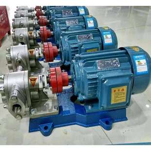 1.45不锈钢齿轮油泵KCB齿轮油泵 1.1 供应KCB 18.3齿轮油泵2CY