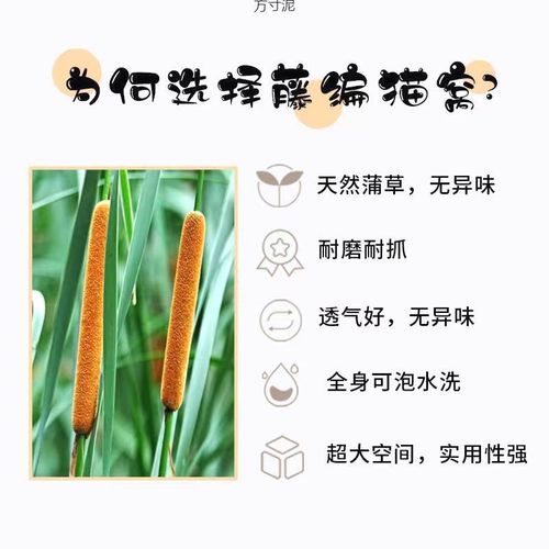 猫窝藤编四季通用猫抓板宠物球垫子凉席编猫咪窝夏季可拆洗用品厂