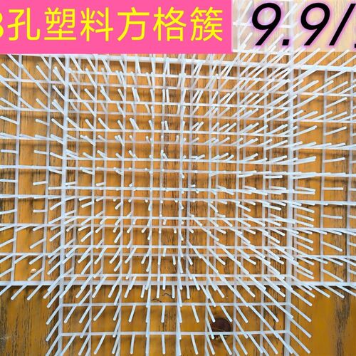 养蚕用结茧网蚕宝宝吐丝养殖塑料网蚕簇新型塑料方格簇折蔟上山网