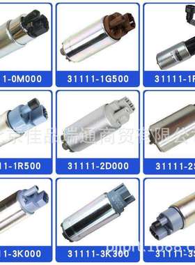 31111汽油泵芯 31111-1r500 311111r500 31111-1r000 31111-1r000