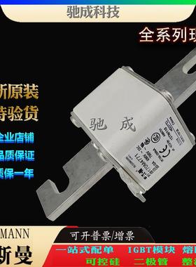 巴斯曼170M4768 170M4769 170M4770 大量现货销售价优 原装熔断器