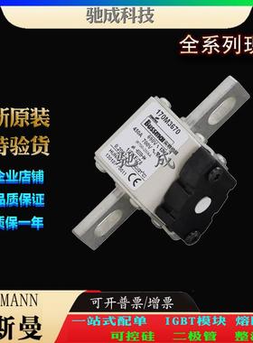 巴斯曼170M3673 170M3675 170M3678 大量现货出厂价格 快速熔断器