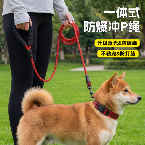 狗狗牵引绳狗绳子遛狗脖圈泰迪金毛宠物大型中型小型犬狗链p绳