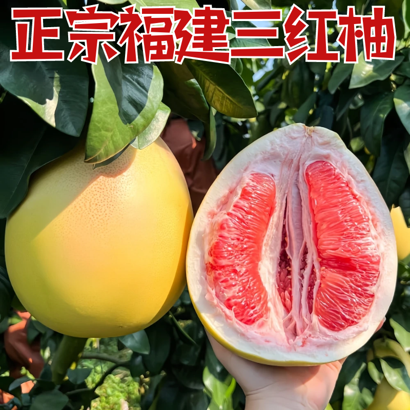 福建和平红心柚子9斤琯溪红柚新鲜水果当季三红柚子红心红肉柚子
