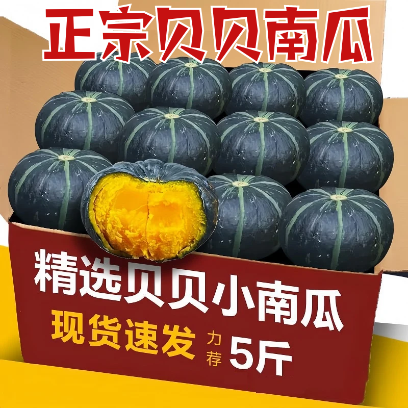 正宗贝贝南瓜5斤小南瓜板栗南瓜新鲜蔬菜宝宝辅食软糯贝贝南瓜