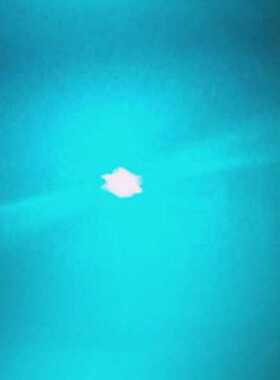 全新夏普488nm55mw蓝光激光二极管 科研检测用天蓝色特种激光光源