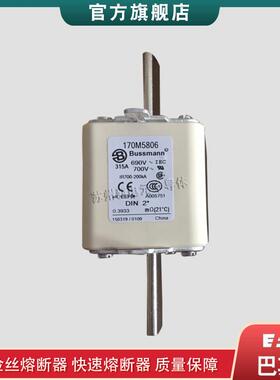 170M5776 5804 5805 5806 5807 巴斯曼bussmann快速熔断器保险丝