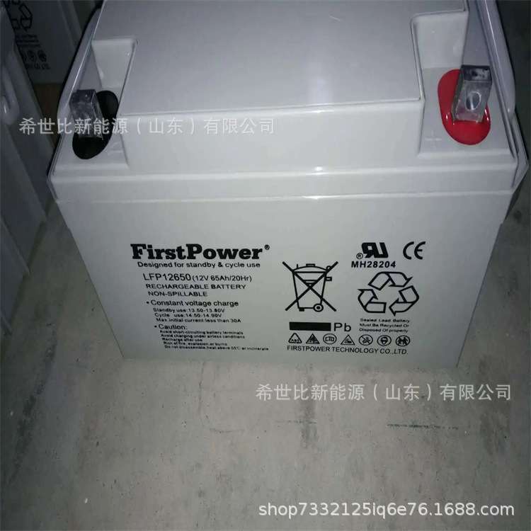 一电蓄电池LFP1240太阳能风能发电12V40AH电厂/电站/化工储能系统