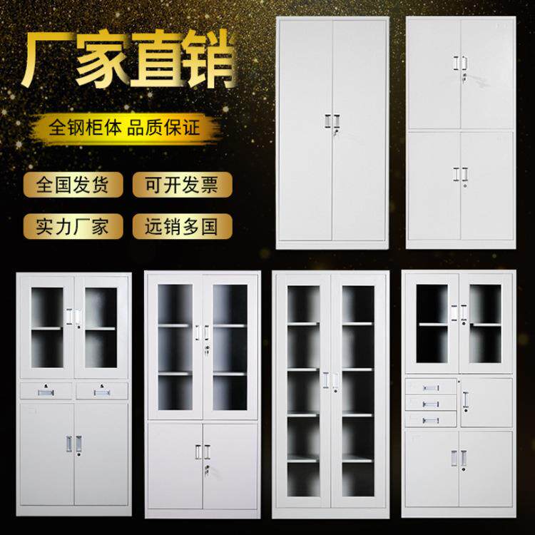 重庆钢制办公文件柜档案柜铁皮柜书柜带锁储物柜凭证柜资料整理柜