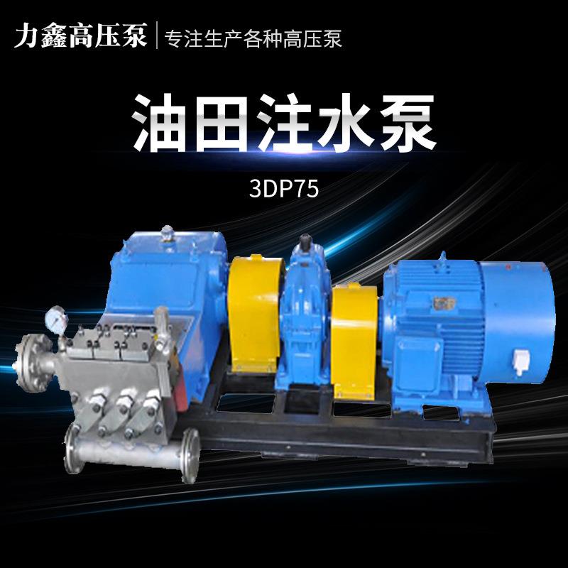 厂家油田注水泵柱塞泵工业化工灌溉泵高压注水泵大流量清洗泵