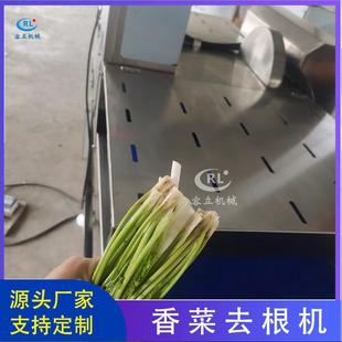 厂家供应芦笋去根机链板式青辣椒去蒂机全自动玉米去头去尾机