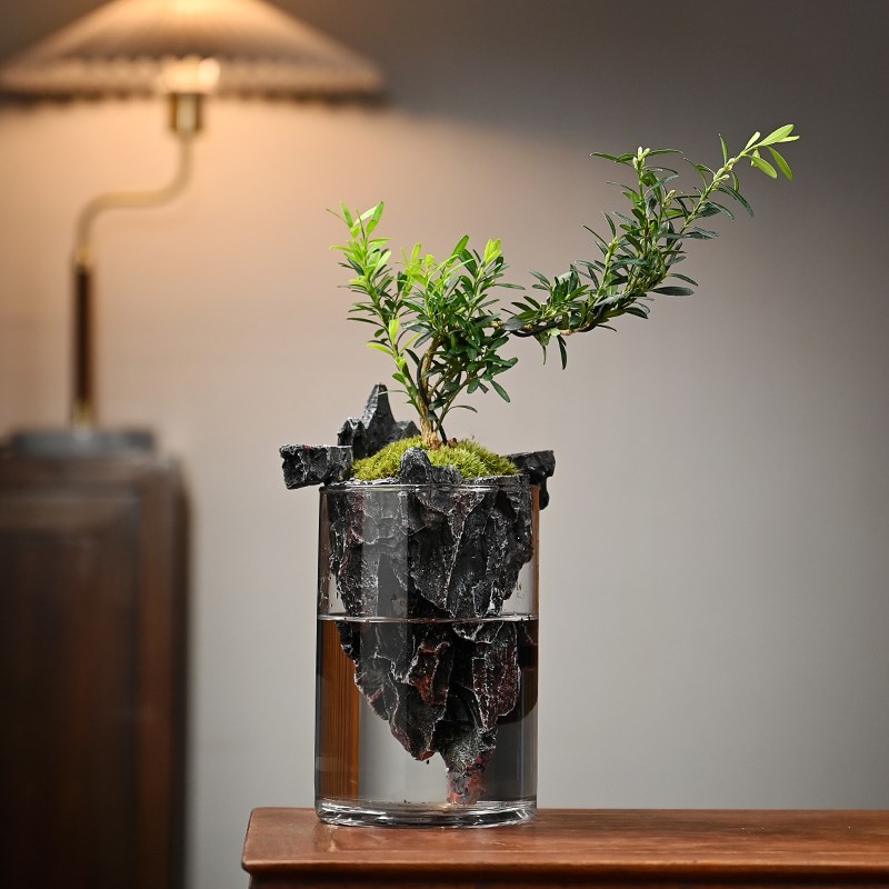 倒山桌面苔藓微景观造景植物生态瓶绿植盆栽玻璃室内盆景创意摆件