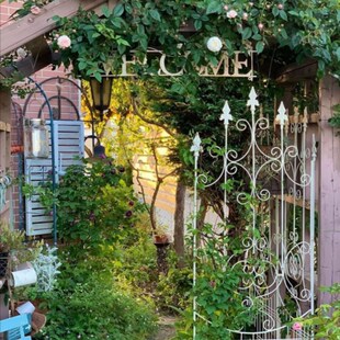 欧式铁艺屏风 花园隔断 高1.8米铁线莲花幕架 植物爬藤架 花插片