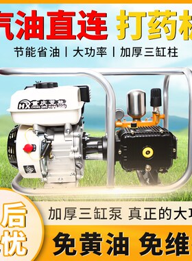 新款汽油全自动打药机高压农用直连喷雾一体机打农药机农田果园洒