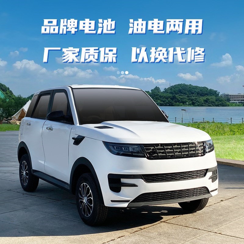 电动四轮车家用代步车老头乐新能源汽车油电两用成年人四轮电瓶车